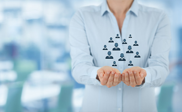 Customs declaration, inspection, insurance services